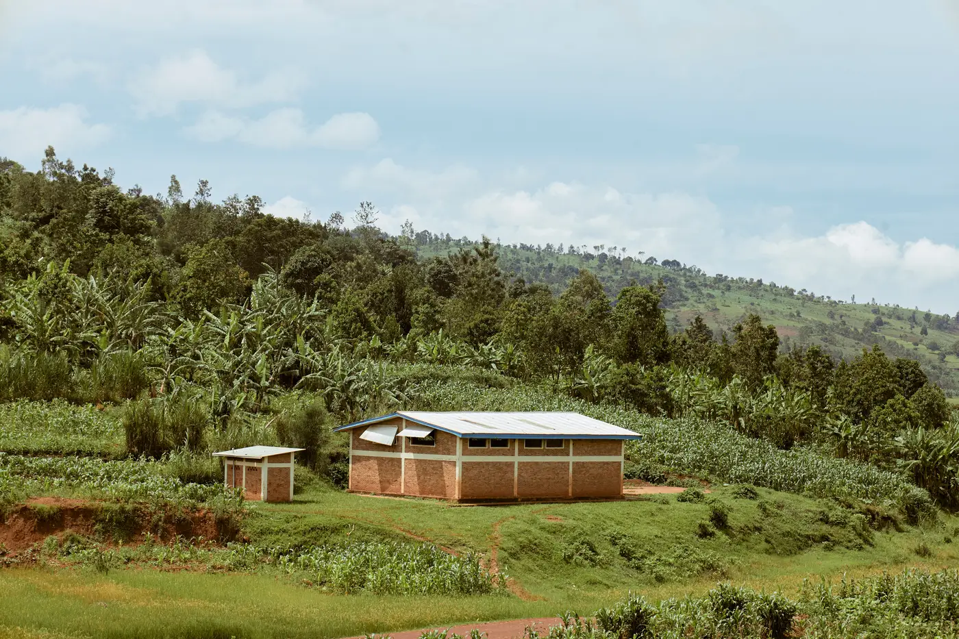 A brick building with a small single-pitch-roofed outbuilding beside it, on a grassy hillside among banana plants